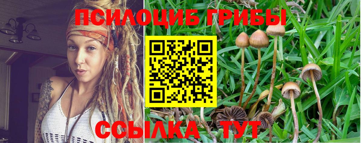 Псилоцибиновые грибы Magic Shrooms  Вход с VPN  Углич  Псилоцибиновые грибы GOLDEN TEACHER 